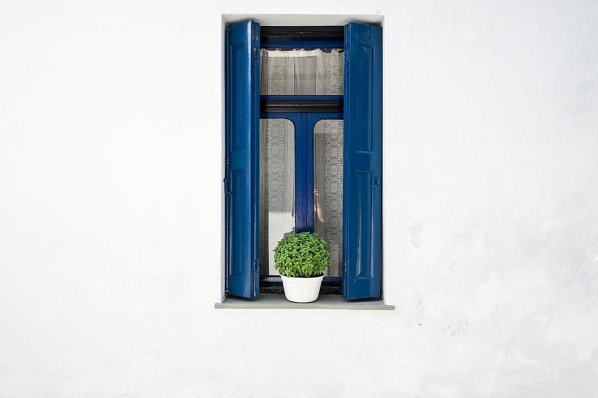 O βασιλιάς του κήπου