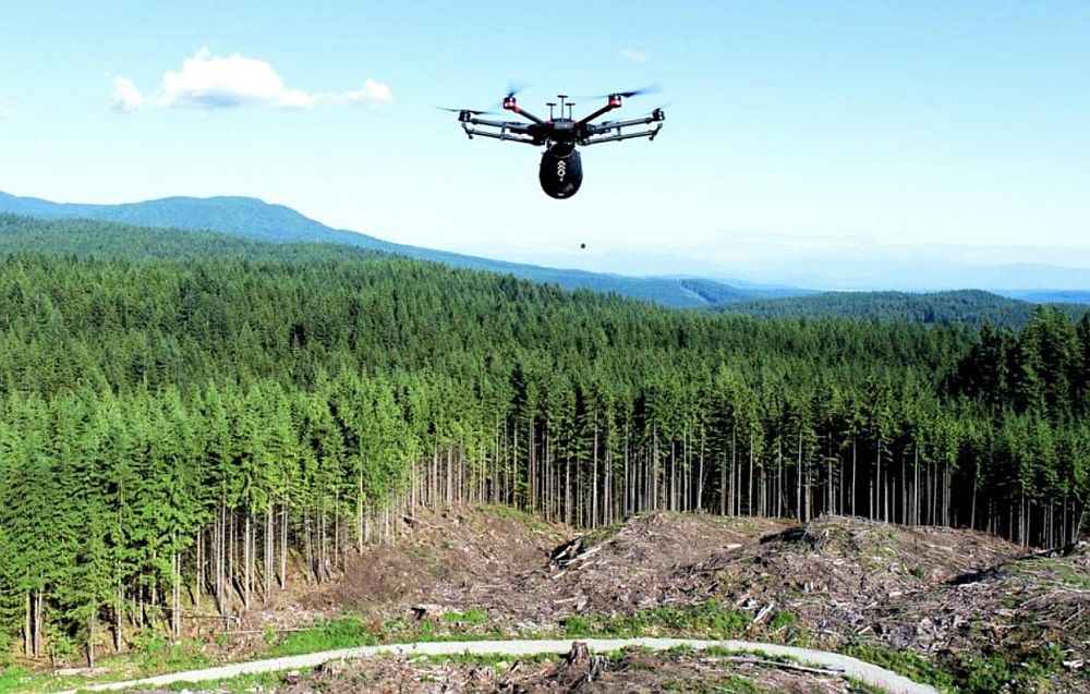 Η νεοφυής επιχείρηση που φυτεύει δέντρα από ψηλά