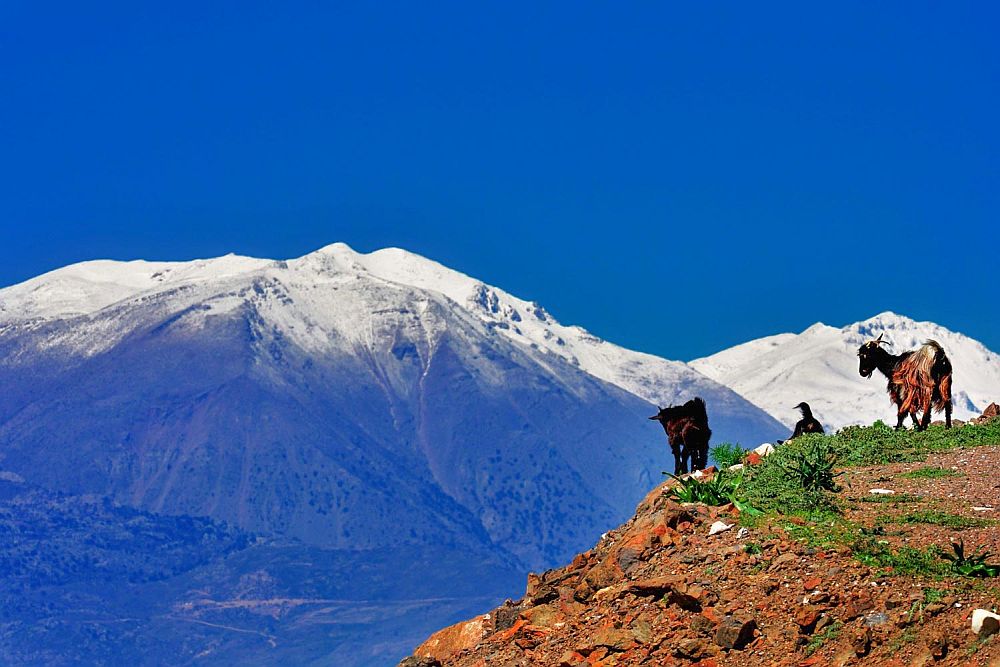 Πόλος έλξης για χιλιάδες επισκέπτες τα Αστερούσια Όρη στην Κρήτη