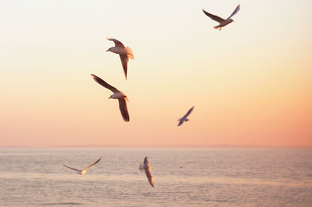 Καιρός: Αίθριος - Νέο κύμα κακοκαιρίας από την Τρίτη (01/02)