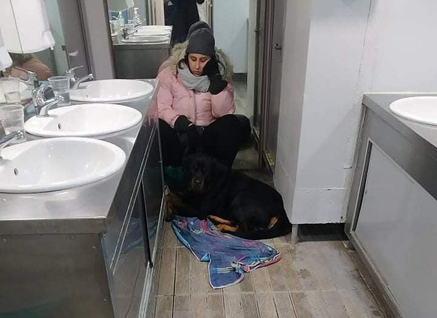 Ταξίδεψε... στην τουαλέτα πλοίου μαζί με το σκύλο της!