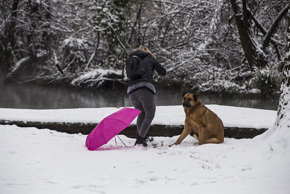 Κακοκαιρία «Ελπίς»: Στην «κατάψυξη» η χώρα - Πού και πότε θα χιονίσει