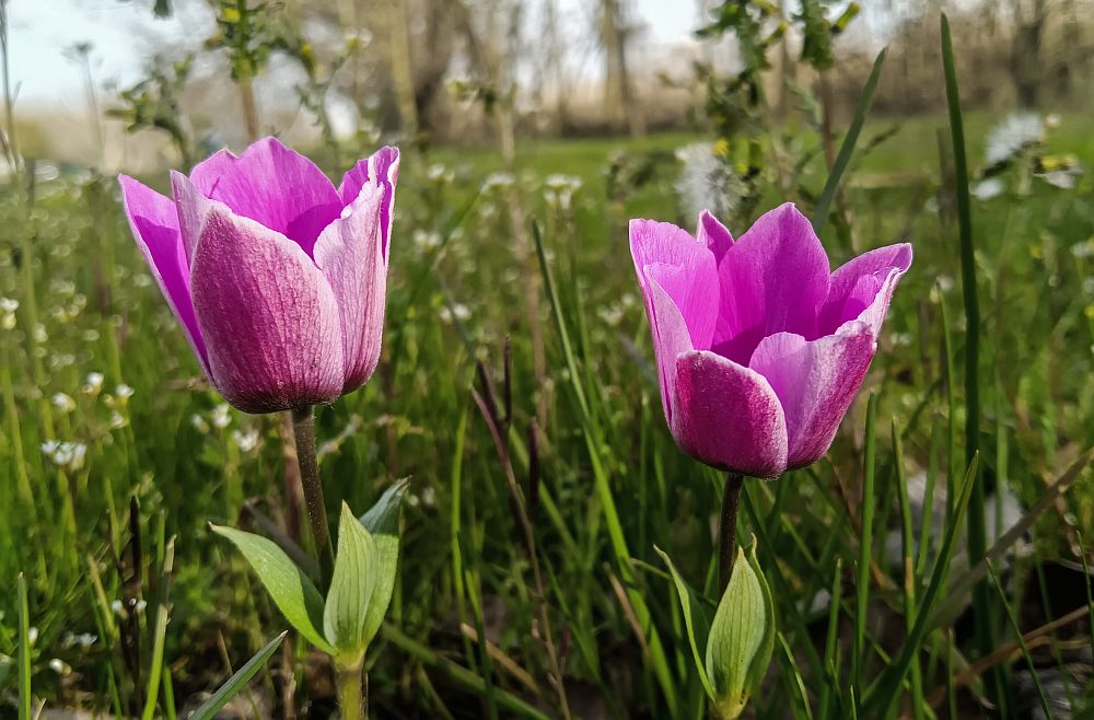 Καιρός: Εορτασμοί με ηλιοφάνεια