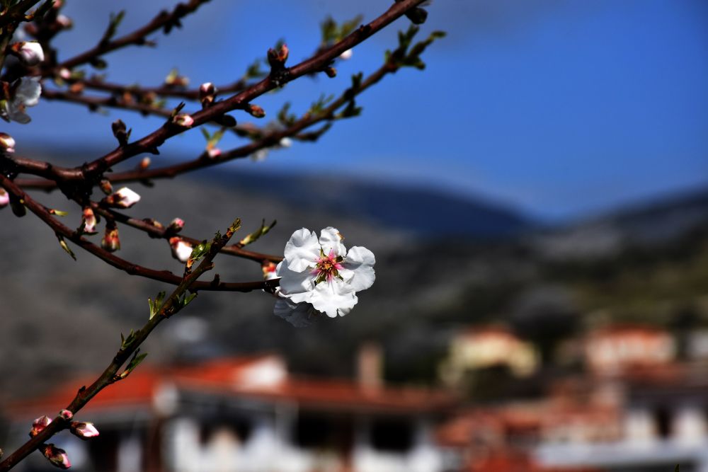 Καιρός: Βελτιωμένος στα βόρεια, παραμένουν οι χειμωνιάτικες θερμοκρασίες