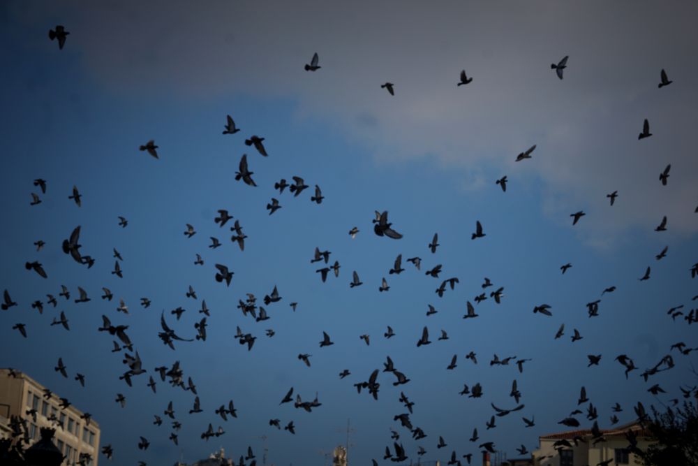 Καιρός: Νεφώσεις με ασθενείς τοπικές βροχές