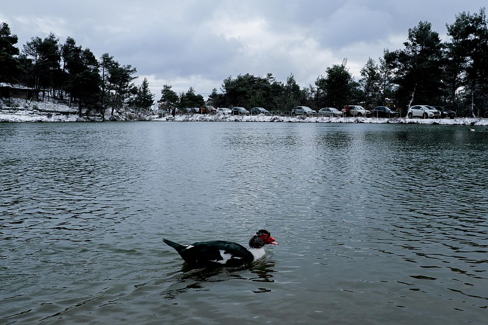 Καιρός: Κρύο, βροχές, χιόνια