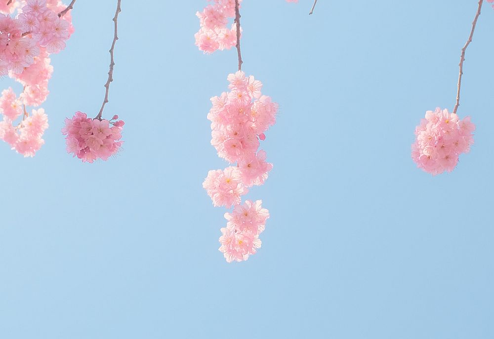 Καιρός: Επιτέλους Άνοιξη!