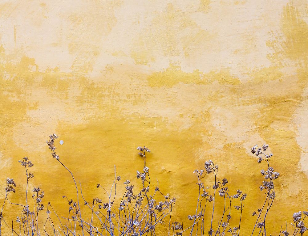 Παγκόσμια Ημέρα Ποίησης