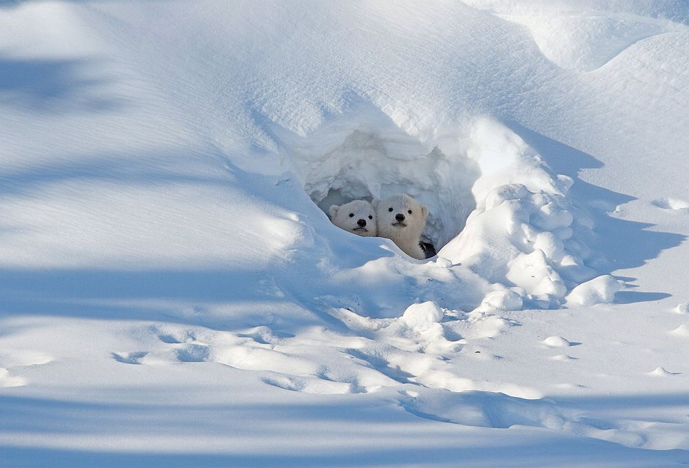 Καιρός: Επιστρέφει ο χειμώνας...