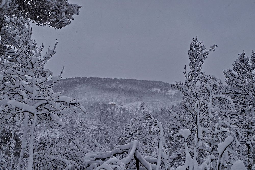Καιρός: Τσουχτερό κρύο, χιόνια και παγετός