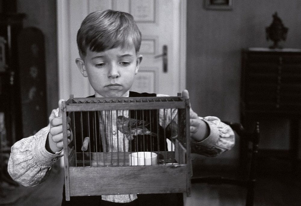 Η Λευκή Κορδέλα: Το αριστούργημα του Μίκαελ Χάνεκε