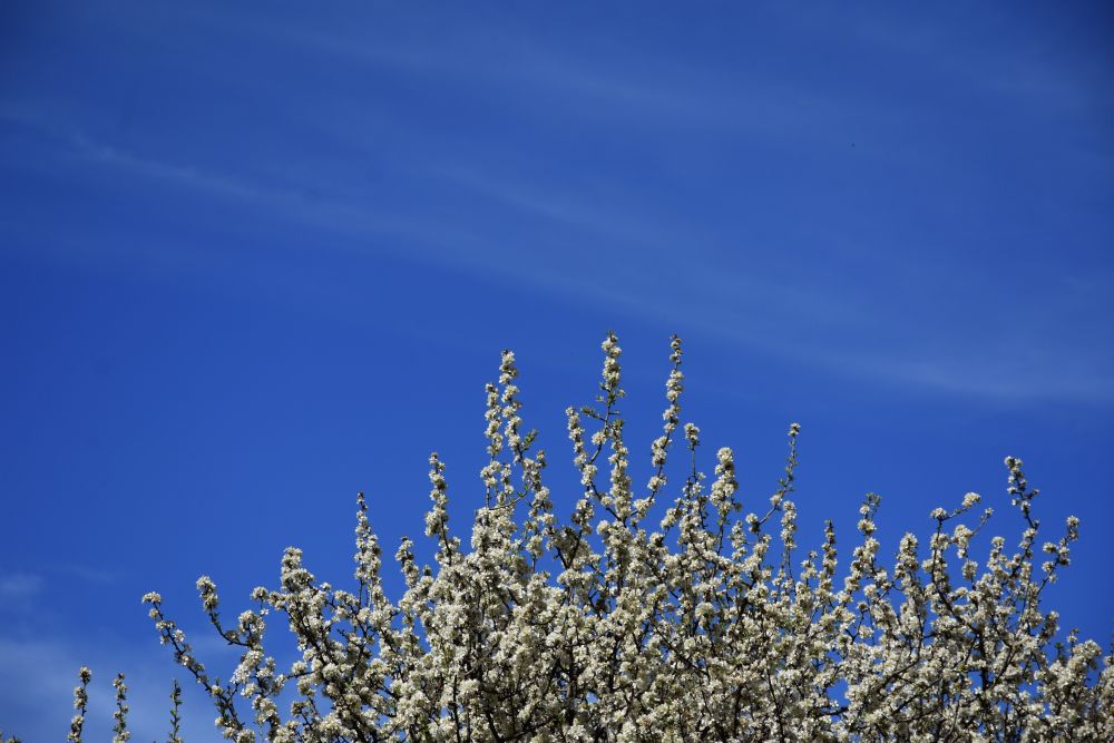 Καιρός: Ανεβαίνει κι άλλο η θερμοκρασία