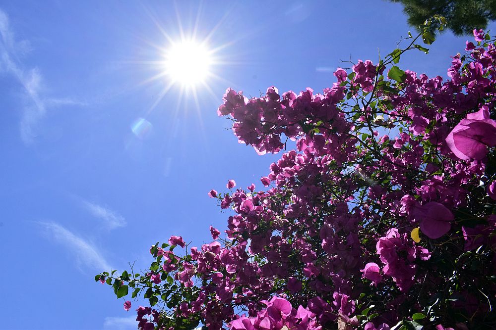 Ο καιρός: Με λιακάδα το σούβλισμα του οβελία