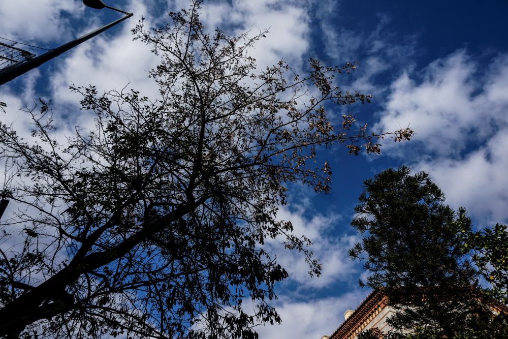 Καιρός: Αραιές νεφώσεις και τοπικές βροχές