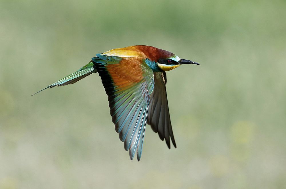 Καιρός: Άνοδος της θερμοκρασίας