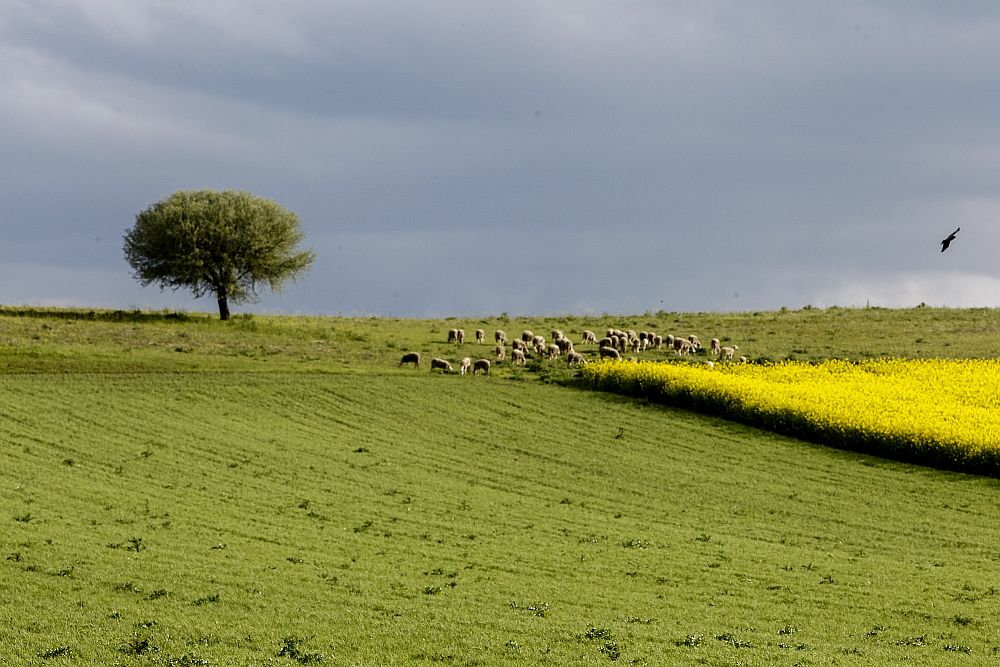Καιρός: Αίθριος με υψηλές θερμοκρασίες