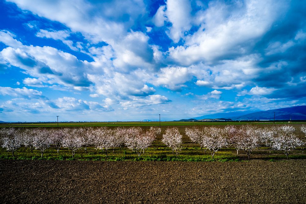 Καιρός: Με δύο πρόσωπα - Τοπικές βροχές και ηλιοφάνεια