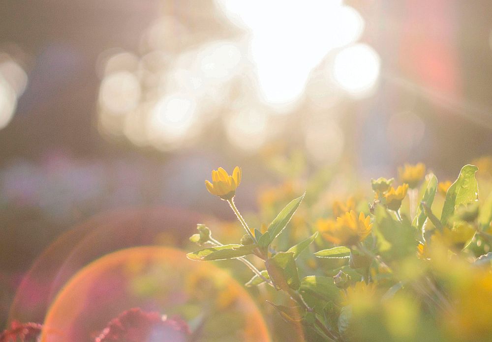 Καιρός: Λίγες νεφώσεις και υψηλές θερμοκρασίες