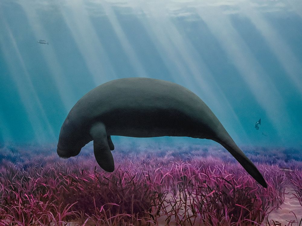 Η εποχή της μοναξιάς δεν είναι όσο μακριά πιστεύουμε