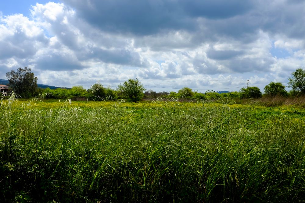 Καιρός: Aίθριος με τοπικές νεφώσεις