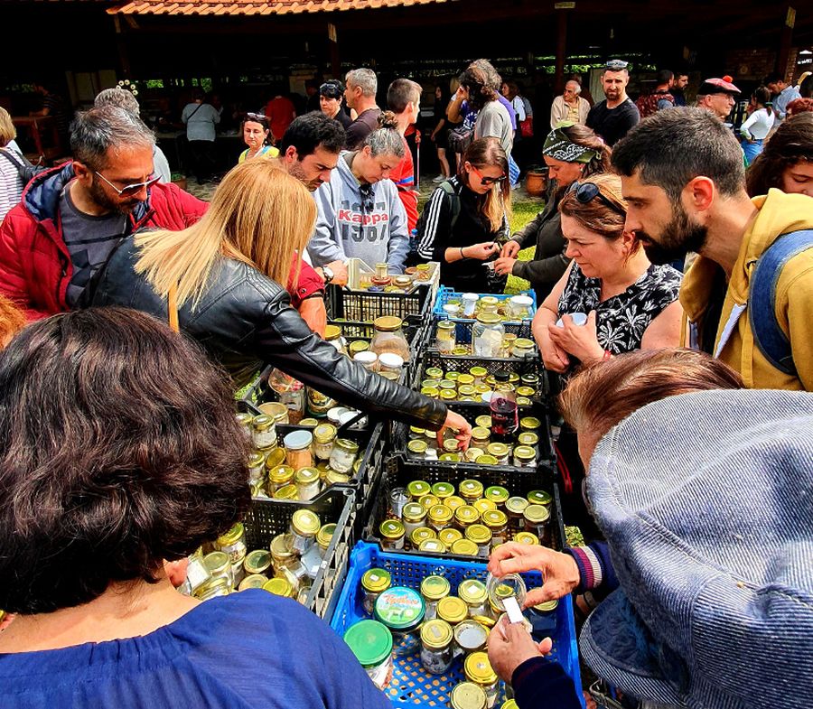 Η Γιορτή Σπόρων του Πελίτι - Στροφή του κόσμου στη βιολογική καλλιέργεια