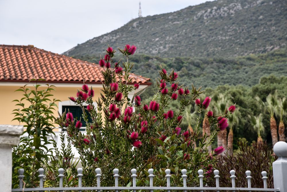 Καιρός: Νεφώσεις με τοπικές βροχές