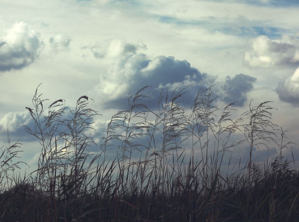 Καιρός: Ζέστη μαζί με τοπικές βροχές και καταιγίδες