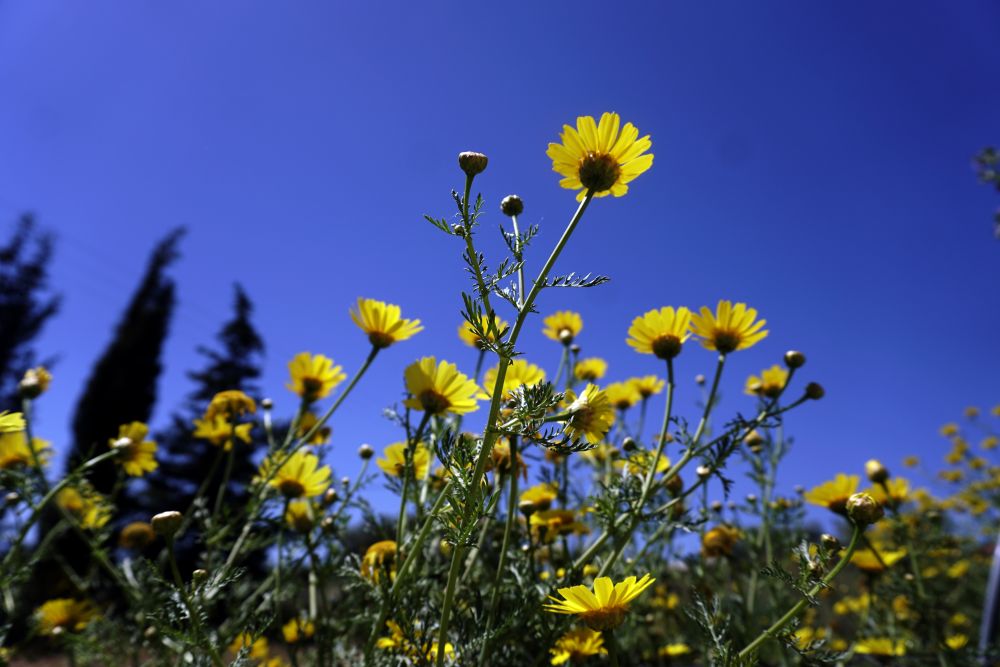 Καιρός: Βελτιωμένος με κανονικές για την εποχή θερμοκρασίες