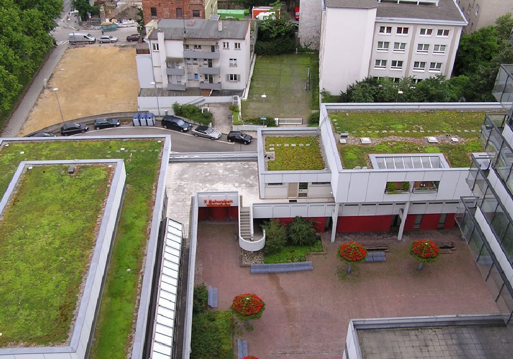 Ανάσες δροσιάς από φυτεμένα δώματα σε οροφές και ταράτσες