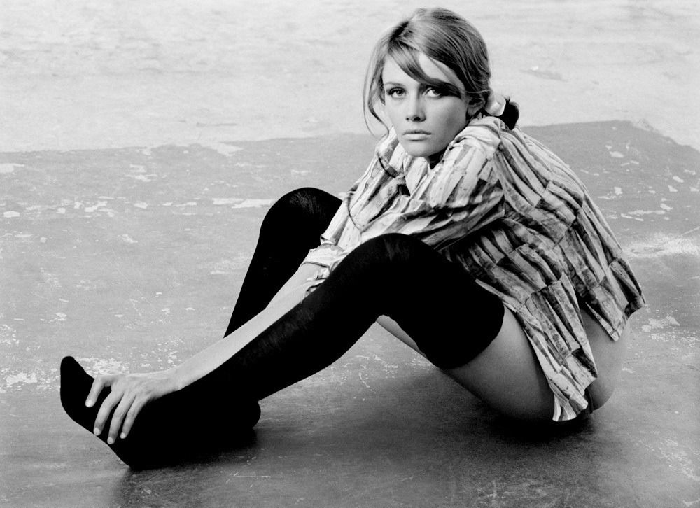 The Last Shadow Puppets - My Mistakes Were Made For You