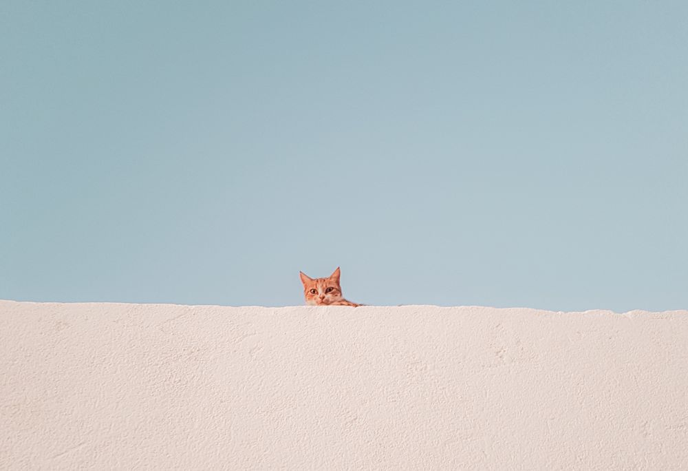 Πού βρίσκεται τελικά η ευτυχία;