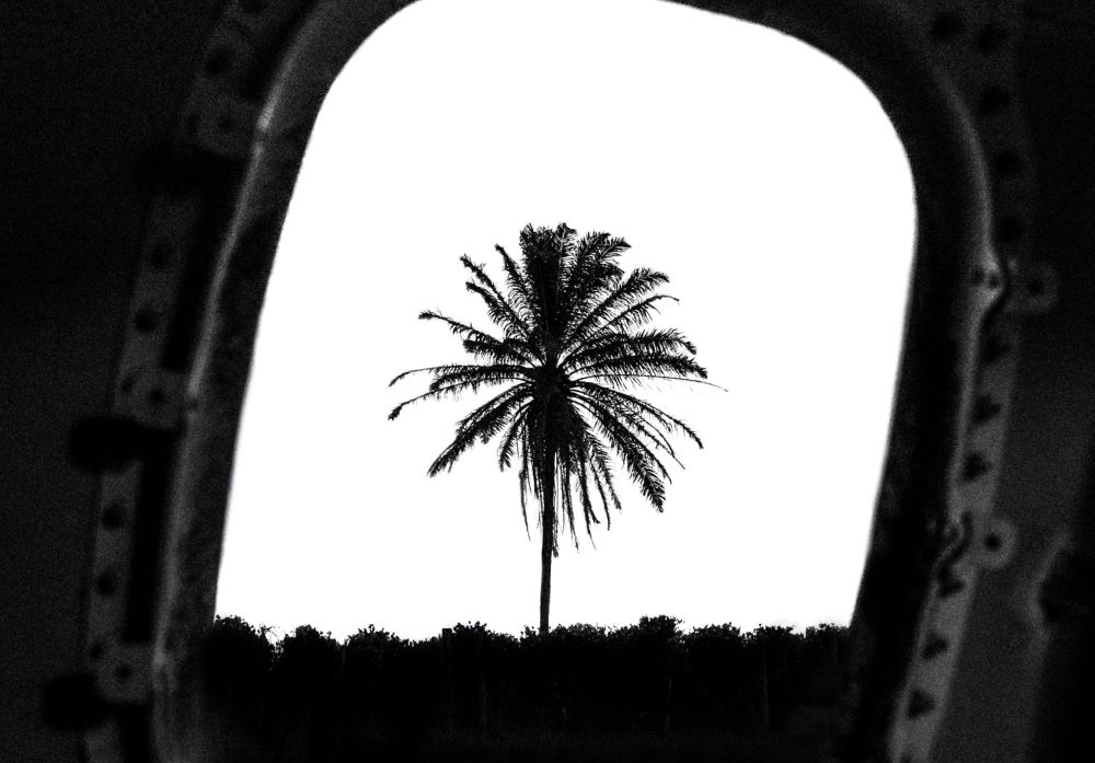 Κινηματογραφημένοι εφιάλτες…