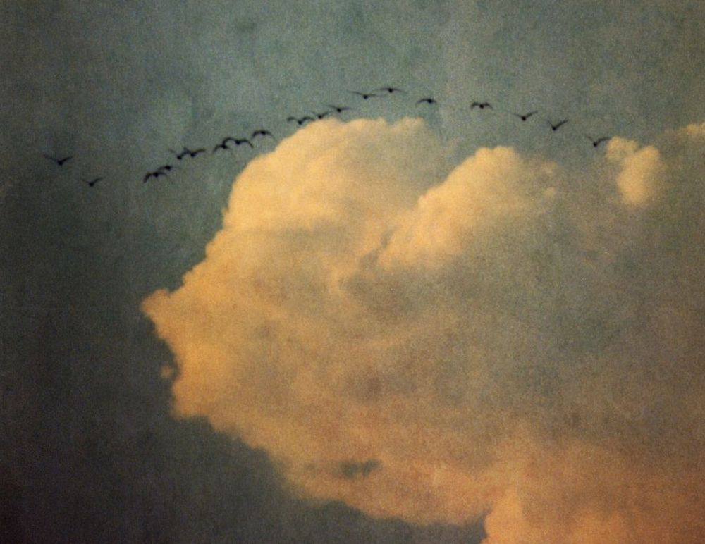 Chloe Foy - Push the Sky Away (Nick Cave and Warren Ellis cover)