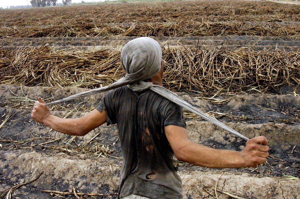 Θεσσαλονίκη: Περισσότεροι από εκατό εικαστικοί καλλιτέχνες στην 8η Μπιενάλε