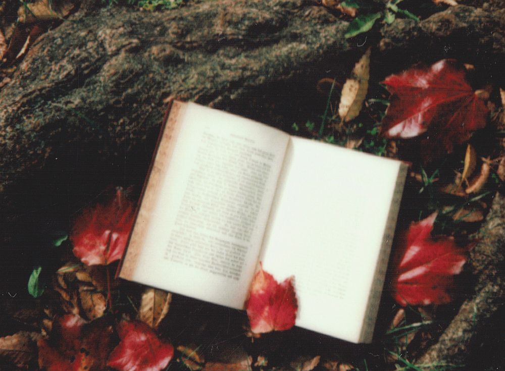 Πέντε βιβλία Ελλήνων συγγραφέων για τις αναγνώσεις των γιορτών