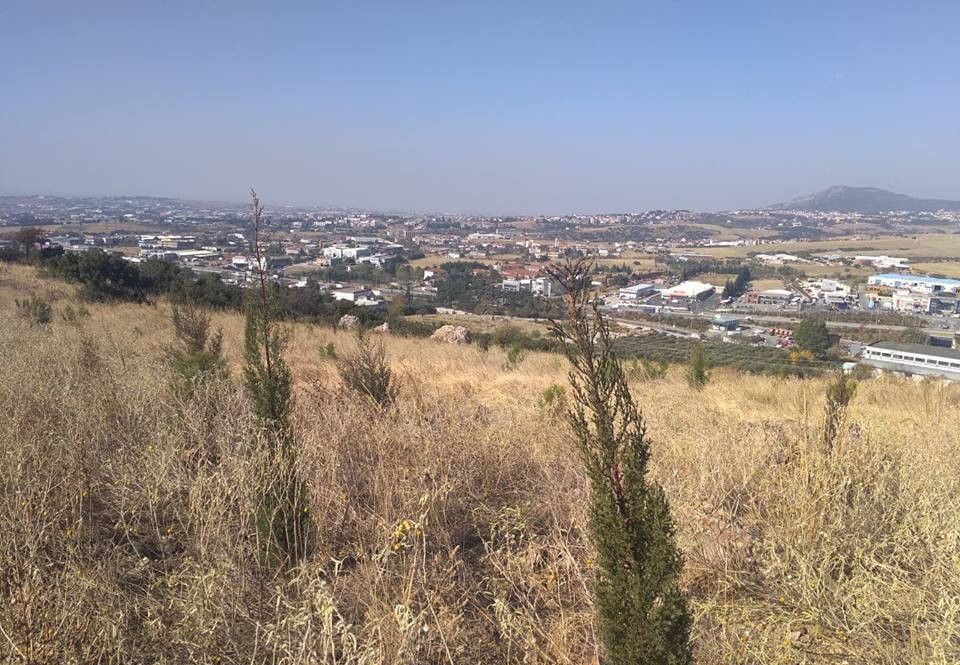 Ένα περιαστικό δάσος αναψυχής με 300.000 δέντρα «γεννιέται» στη δυτική Θεσσαλονίκη