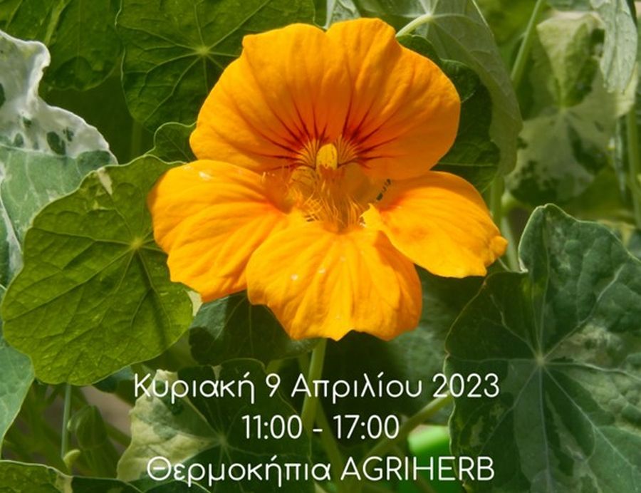 7η Γιορτή της Άνοιξης