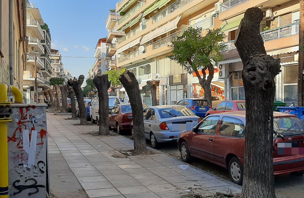 Θεσσαλονίκη: «Μια πόλη με πολύ μικρή αναλογία πρασίνου ανά κάτοικο...»