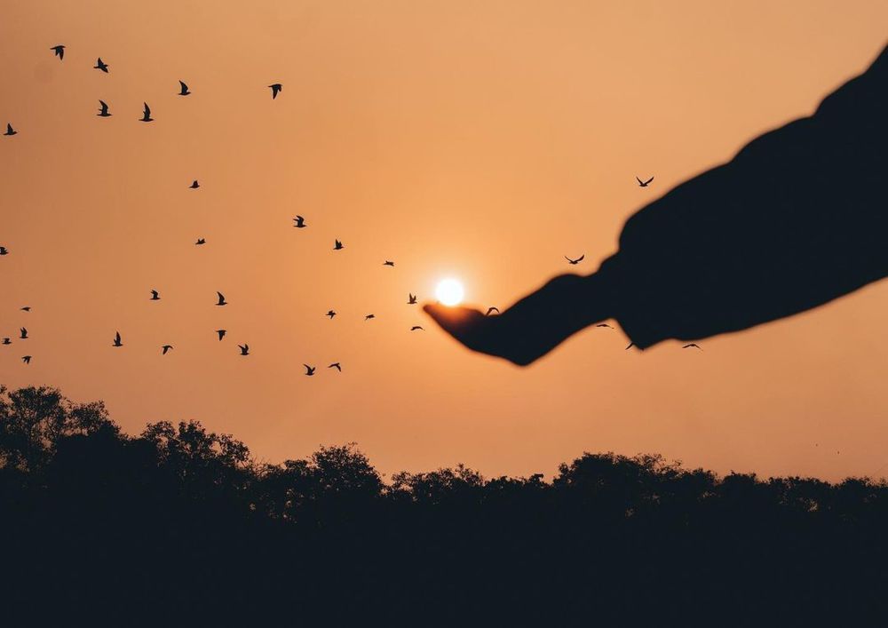 Πώς το πρόγραμμα των ανώνυμων υπερφάγων βοηθάει ψυχαναγκαστικές συμπεριφορές με το φαγητό