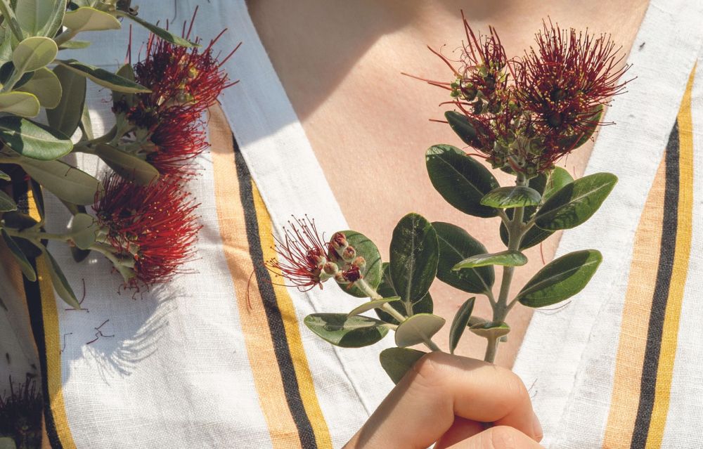 Μετροσίδερος: Το χριστουγεννιάτικο δέντρο της Νέας Ζηλανδίας, στον κήπο σας