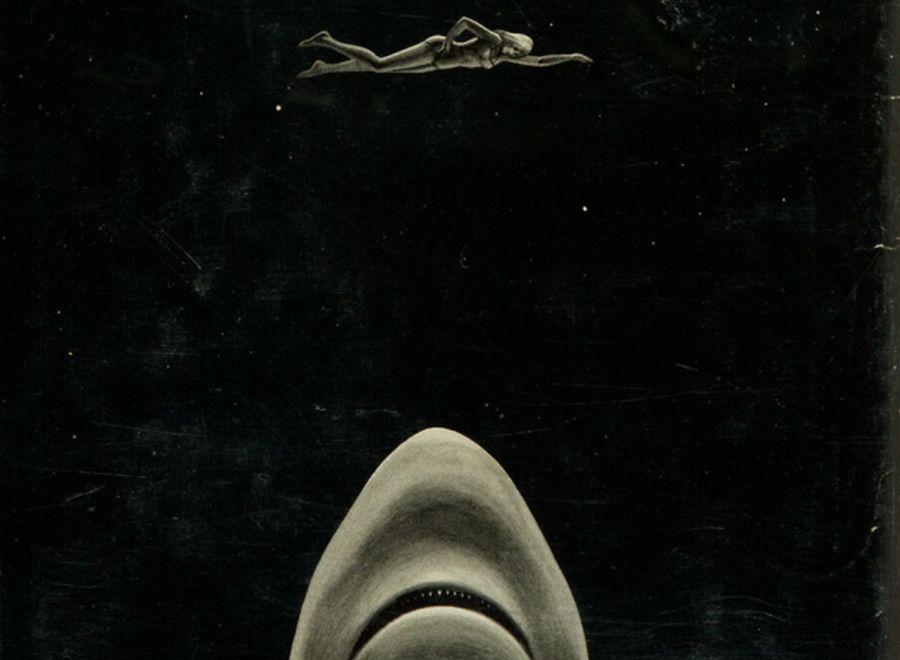 «Τα σαγόνια του καρχαρία»: Πώς ξεκίνησαν όλα…