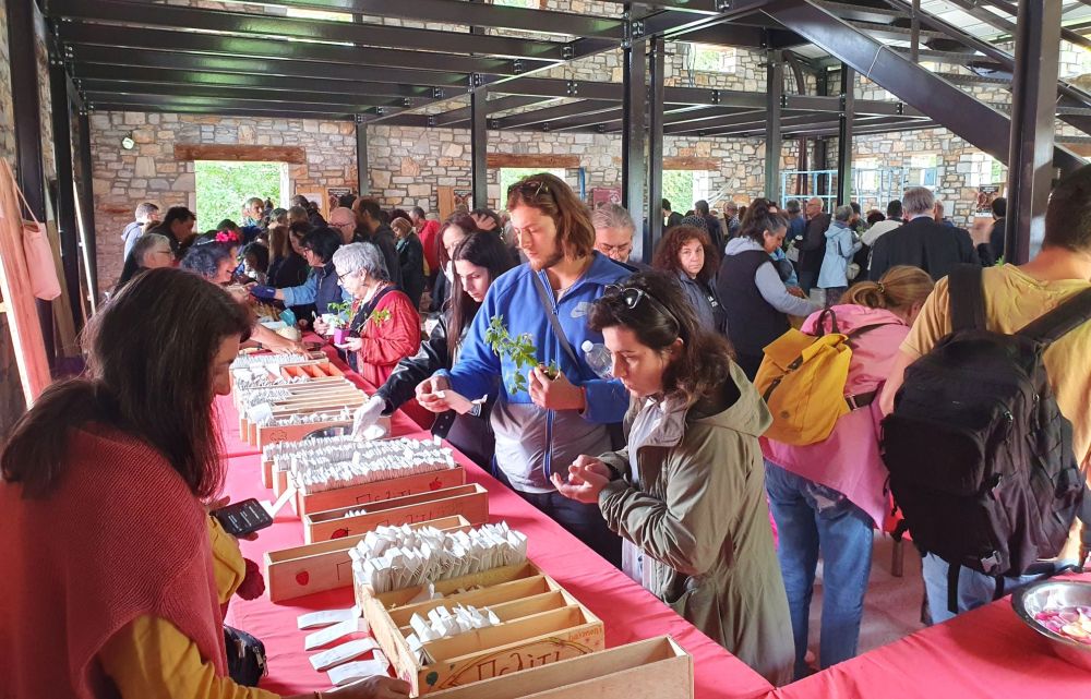 Δράμα: 25η Γιορτή Σπόρων Πελίτι